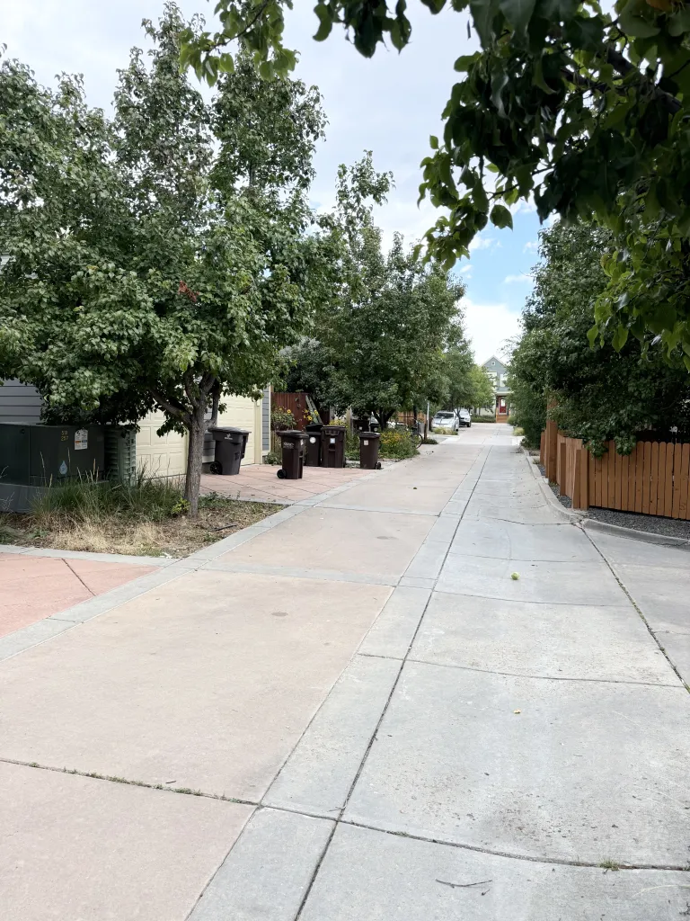 4606 16th Street #9 - concrete path