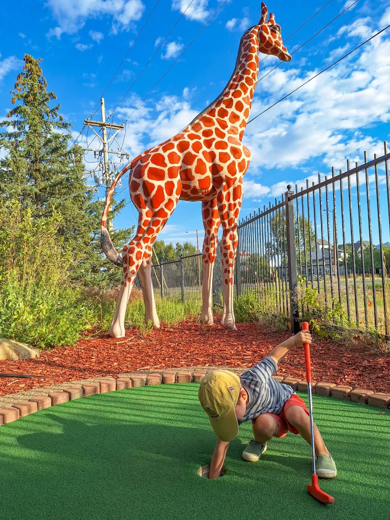 Child picks a golf ball out of a minigolf hole in front of a giraffe statue. 