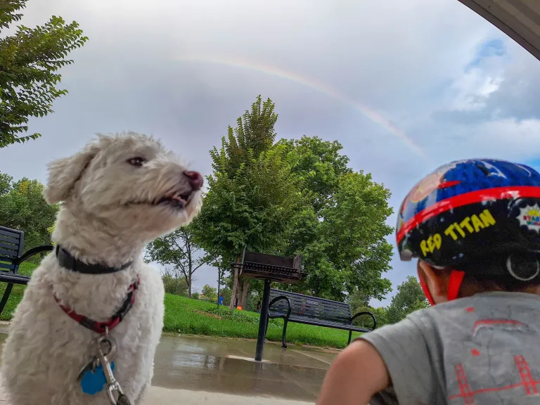 A small white dog facing the camera with a child facing away from the camera with a rainbow in a cloudy sky in the background. 