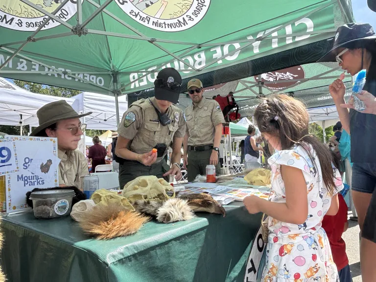 Kid looking at skulls and pelts on a table