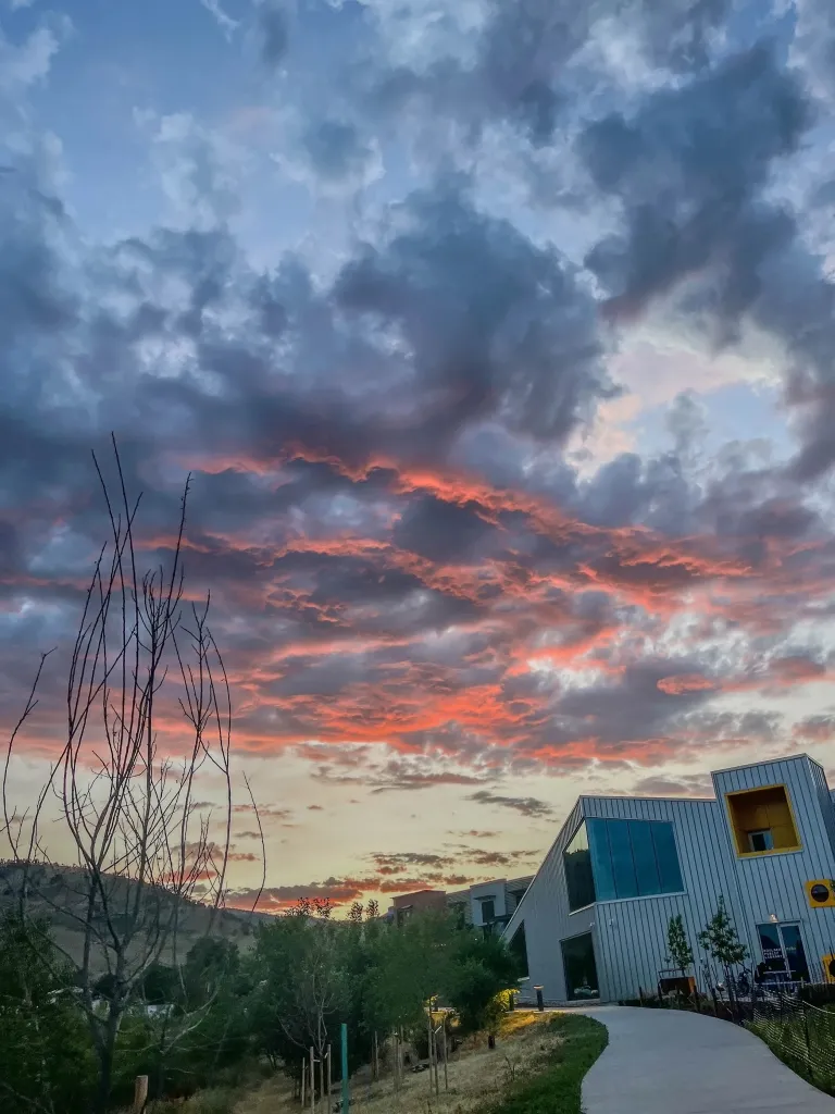 A sunset of pink and slate clouds from a path in front of a home in Boulder. 