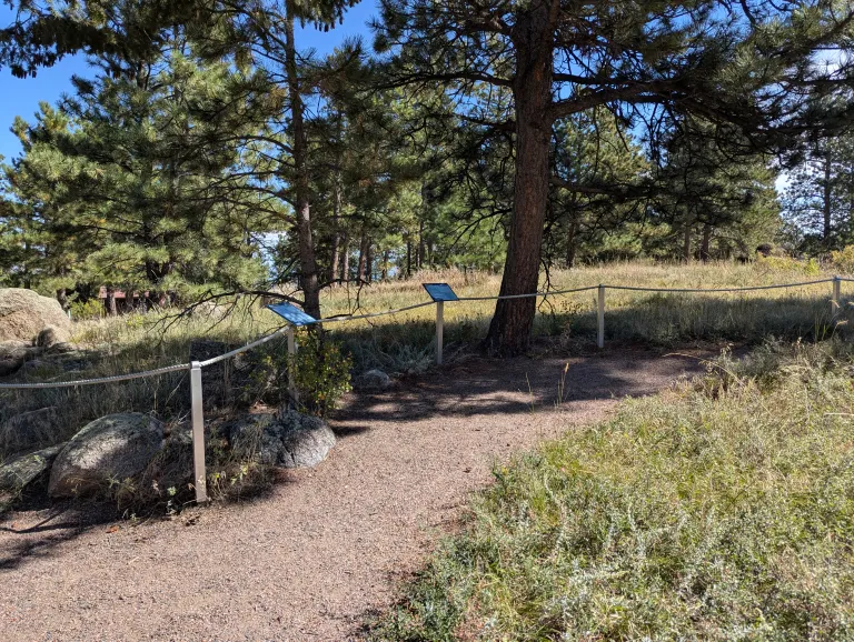 The Sensory Trail, a smooth gravel path through Ponderosa forest, with ropes along the side of the trail for guidance.