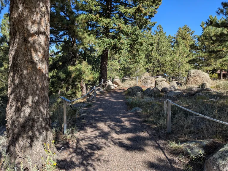 The Sensory Trail, a smooth gravel path through Ponderosa forest, with ropes along the side of the trail for guidance.