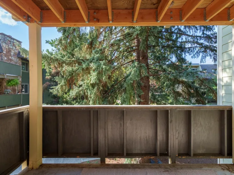 3335 Chisholm Trl 202 - Balcony
