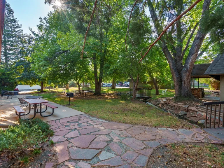 3335 Chisholm Trl 202 - Common outdoor space
