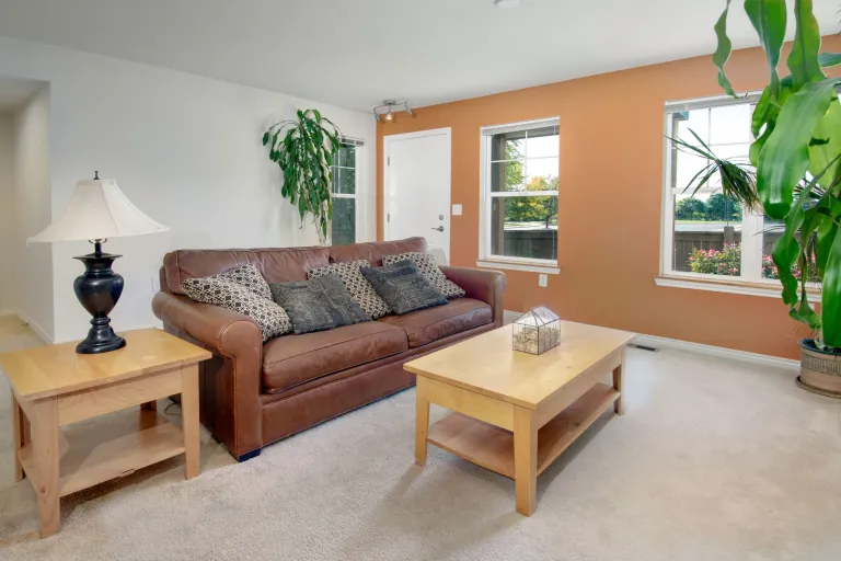 3674 Silverton St Unit C - living room view facing windows