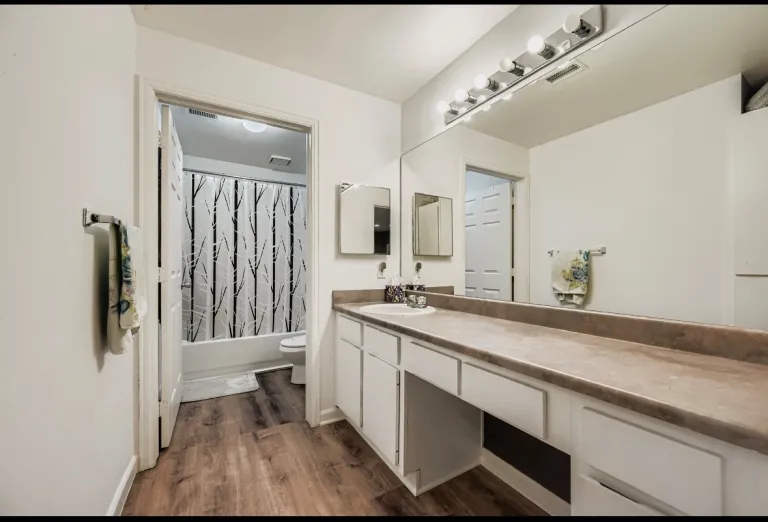 2510 Taft Dr 312 - Second bathroom