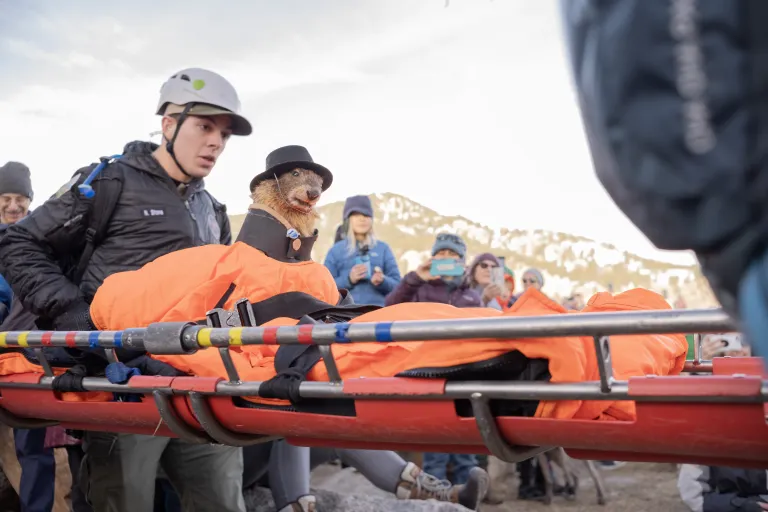 People wearing helmets carry a stuffed marmot on a bright orange stretcher