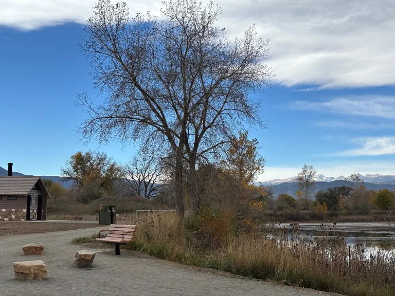 Pond next to trees, bench seating area and outdoor bathhouse.