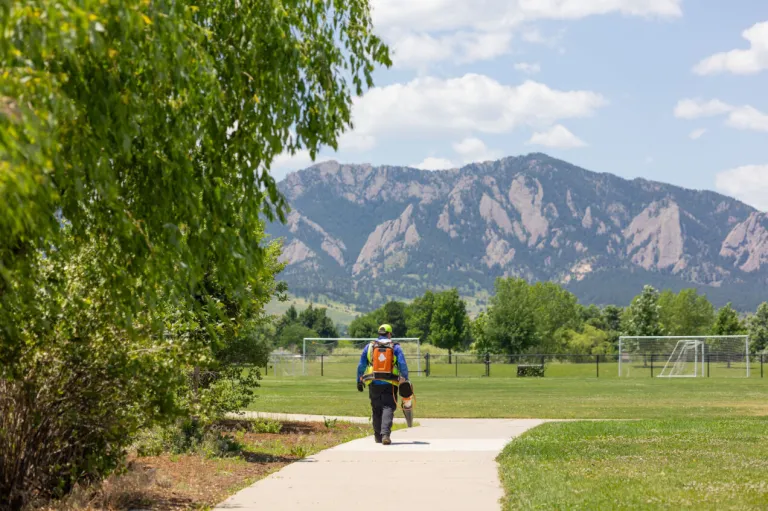Park maintenance at work