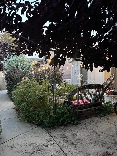 4591 Sunnyside Place sidewalk back area