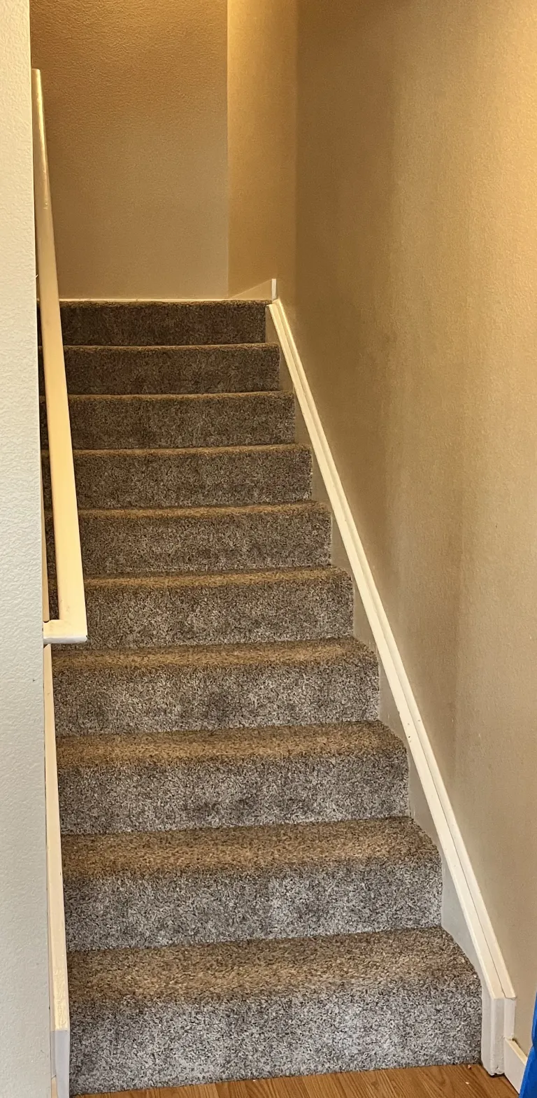 4591 Sunnyside Place stairs