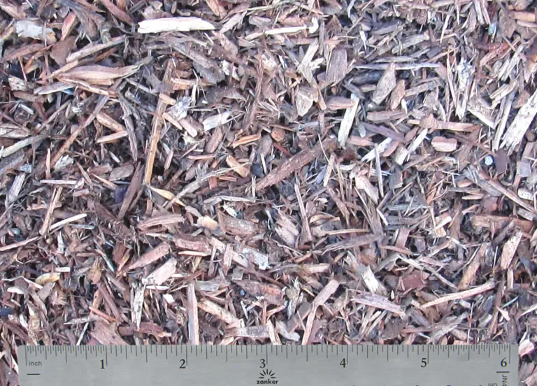Arbor Mulch.