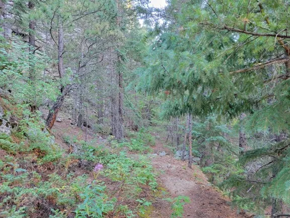 Overview of Barker Gravity Pipeline - Foot Trail, view to the South