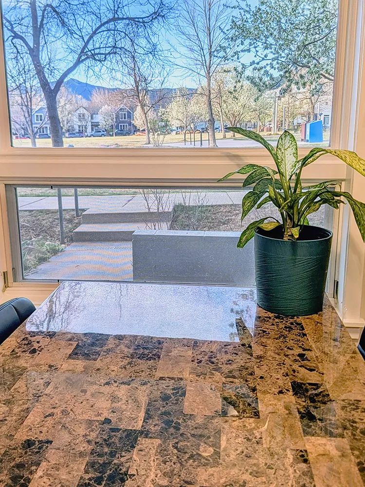 4710 Holiday 101-view from dining room window