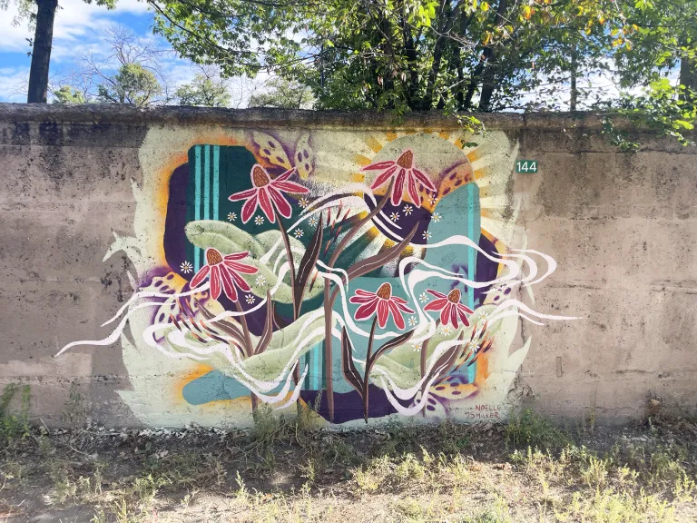 Muralist sample image