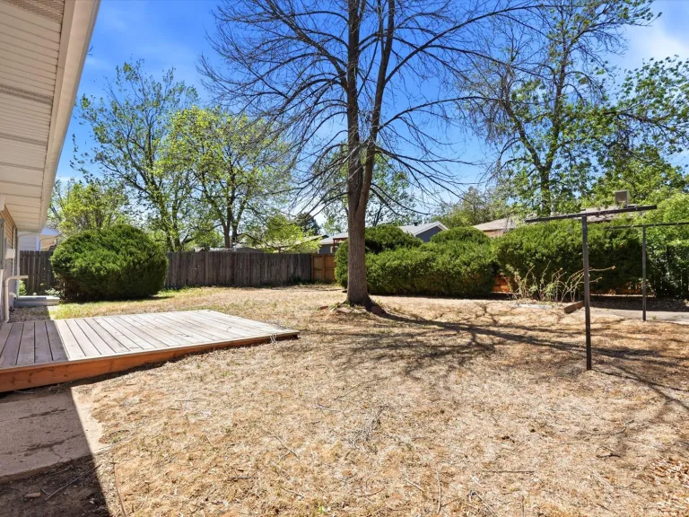 1585 Sagrimore Cir yard