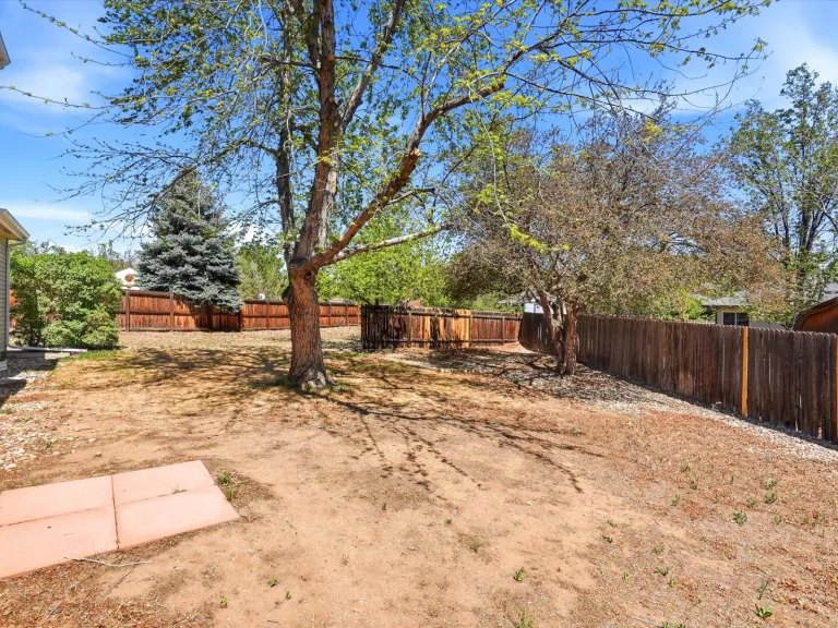 775 Bedivere Cir - Yard
