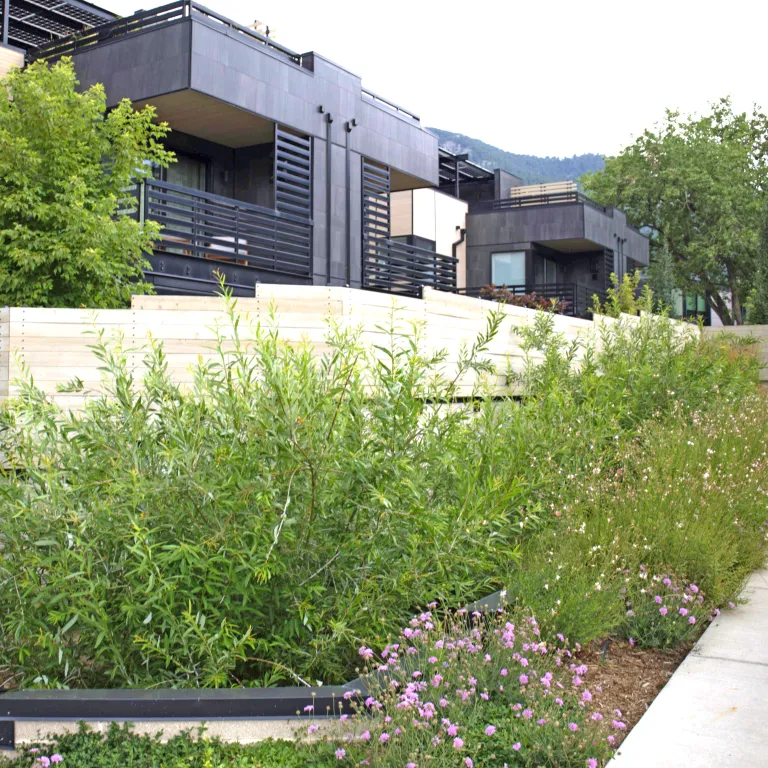 Townhouses with climate resilient landscaping.