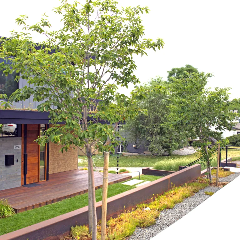 A modern design example of the Climate Resilient Landscape.