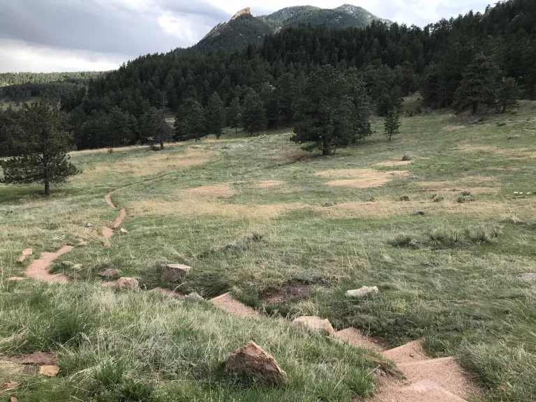 A narrow dirt trail leads through a meadow to the Halfway House restroom