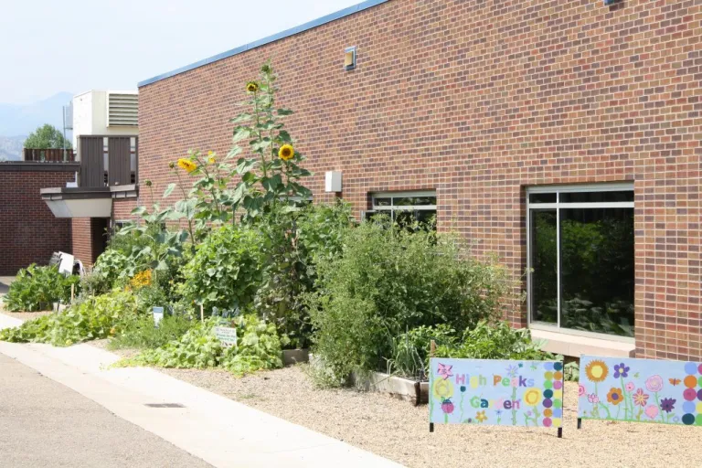 School garden in full growth