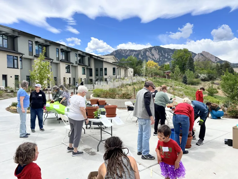 People at a patio garden planting day