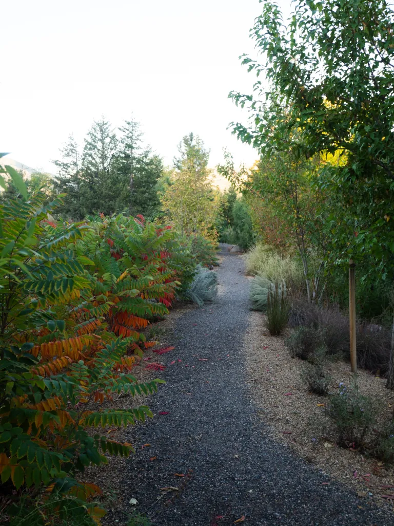 Gravel path with trees and sumac designed by Marpa