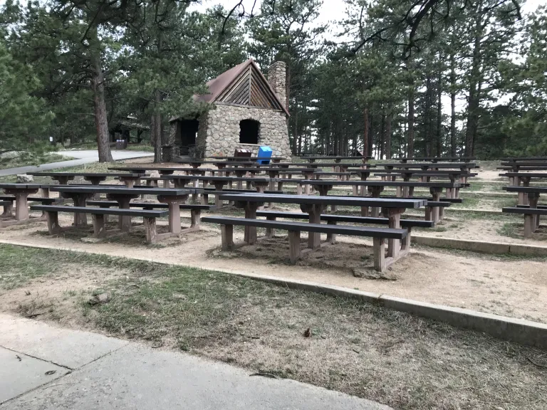 Rows of picnic tables heading slightly uphill with the Stone Shelter and pine trees in the background.