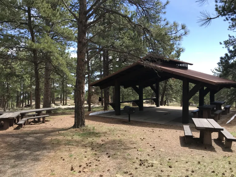 Picnic tables around the Wood Shelter, an open-sided shelter set among pine trees.