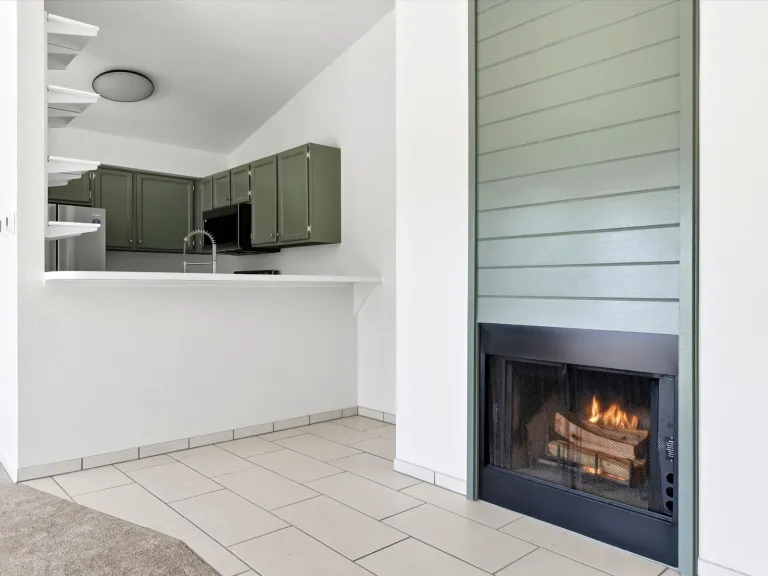 3565 28th St Unit 201 Fire place