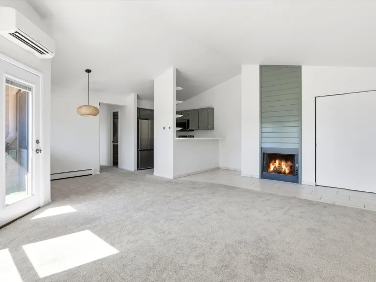 3565 28th St Unit 201 open space view fire place