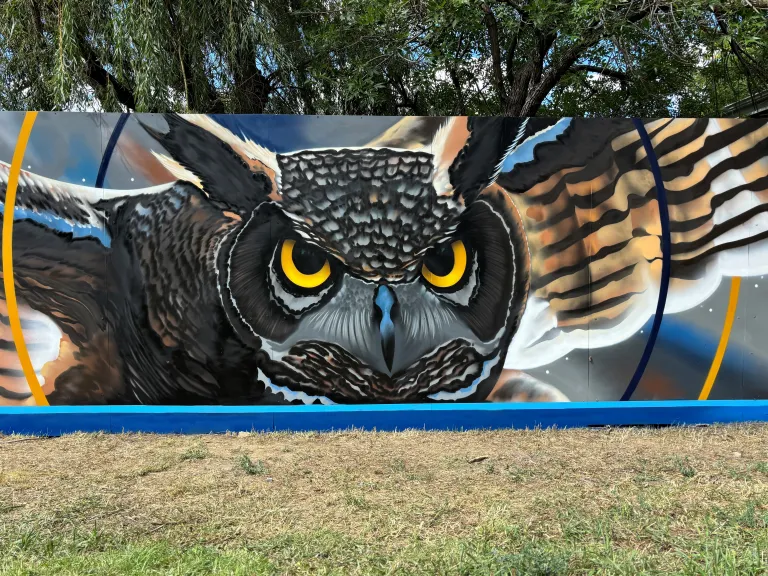 Mural of an owl in flight on a fence