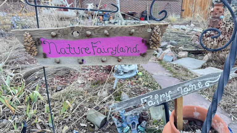 Nature Fairyland garden