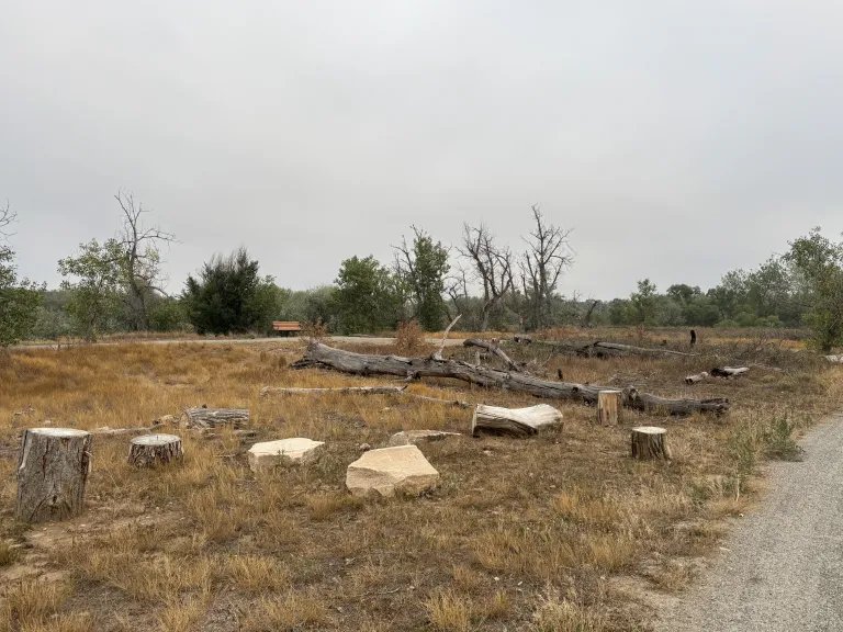 Nature discovery play area with logs and rocks at Sawhill Ponds.