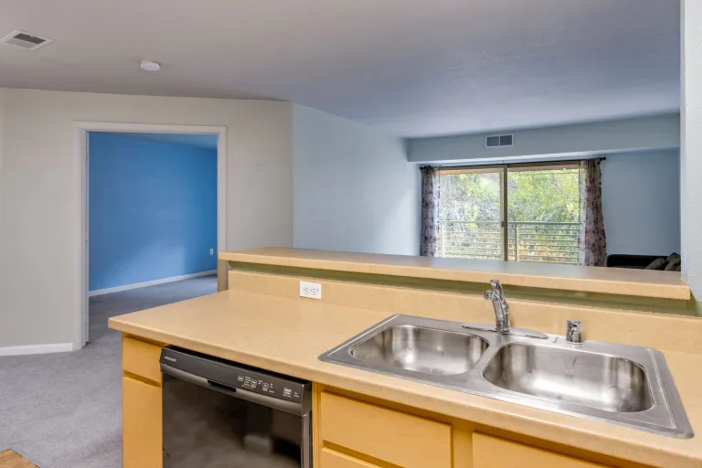 2510 Taft Dr Unit 308 sink