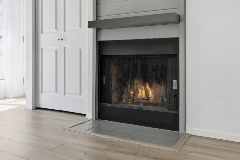 3525 28th St Unit 304 Fire place area