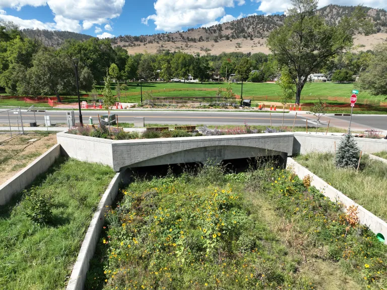 Close view of a concrete culvert carrying the flood channel under a street, with yellow wildflowers in the foreground and a park and foothills across the road.