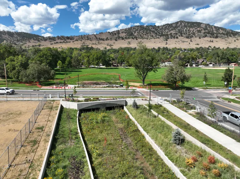 Wildflower-filled flood channel leading to a concrete culvert under the street, with a sidewalk and young trees to the right and a green park beyond.