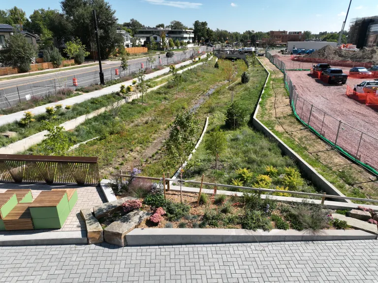 Wildflower-filled flood channel leading to a concrete culvert under the street, with a sidewalk and young trees to the right and a green park beyond.