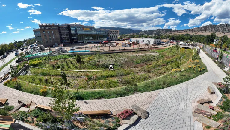 Panoramic photo of the Alpine Balsam Flood Channel