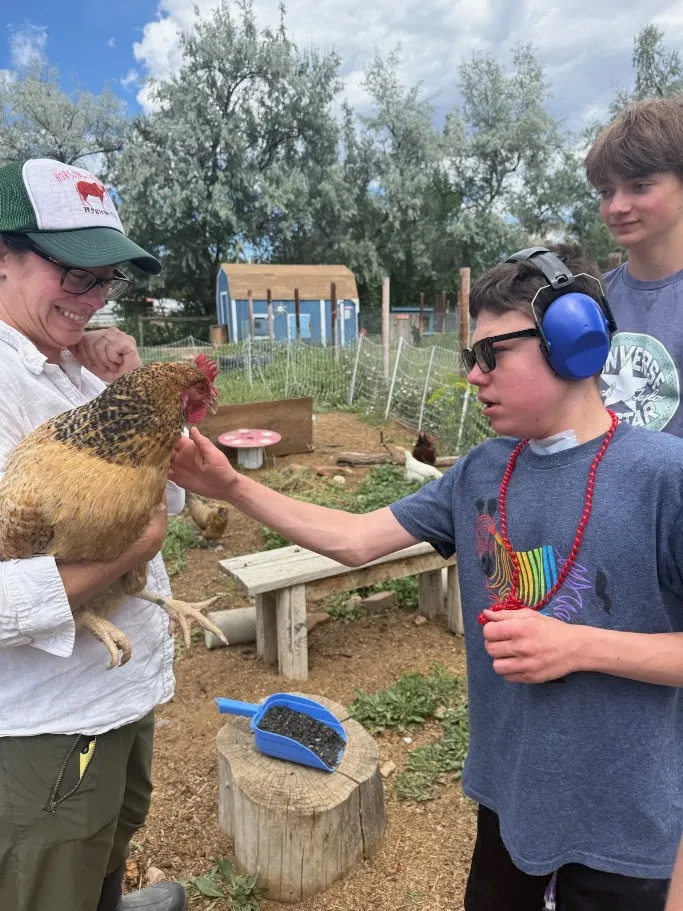 A child gently petting a chicken at a farm.
