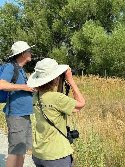 Two people standing next to a meadow looking through binoculars 