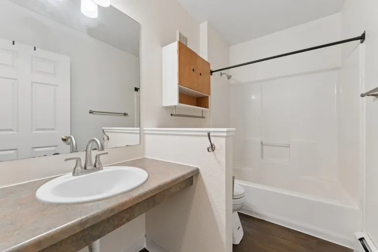 2610 Iris Avenue Unit 105 bathroom