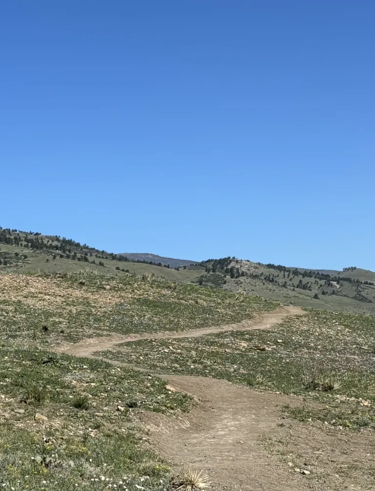 A narrow dirt trail winding along the side of a grassland hill.