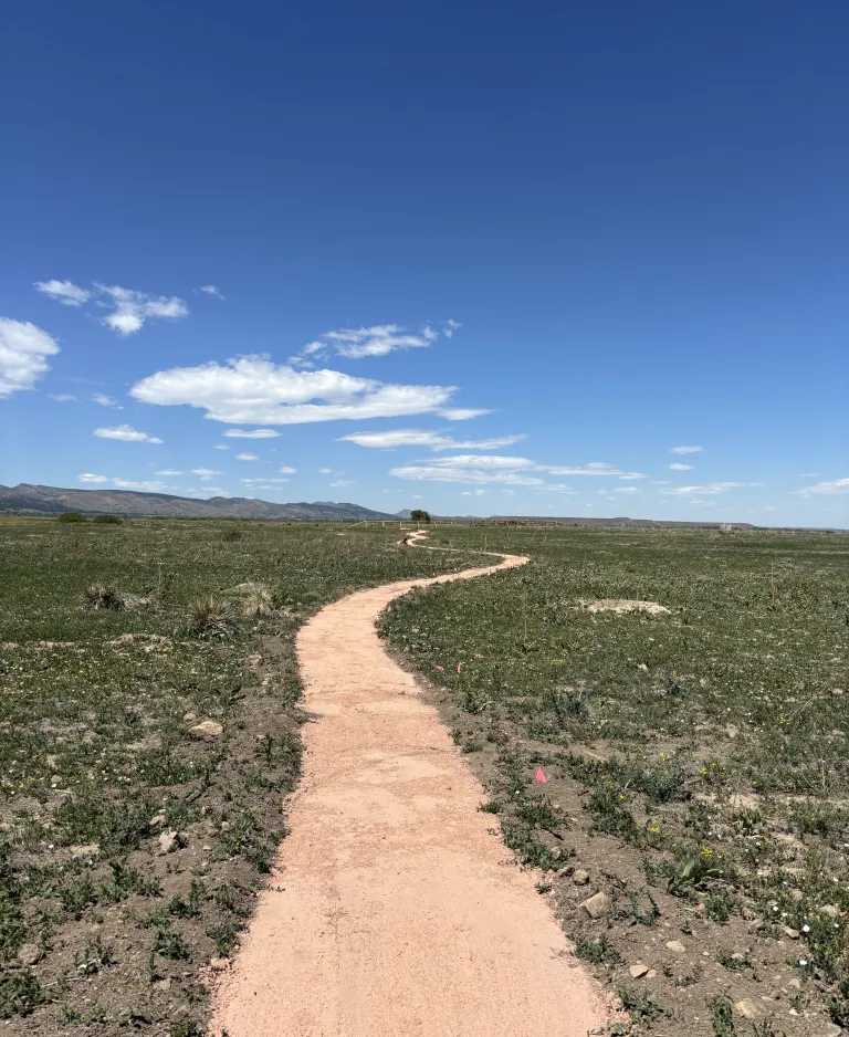 A flat gravel trail heading off into the grasslands under a bright blue sky.