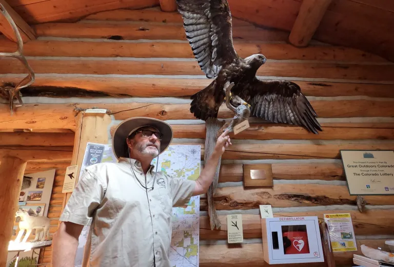 A person inside a log cabin pointing up at a large stuffed falcon on the wall.