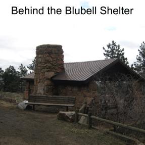 Behind the Bluebell Shelter