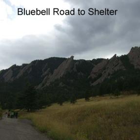 Bluebell Road to Bluebell Shelter