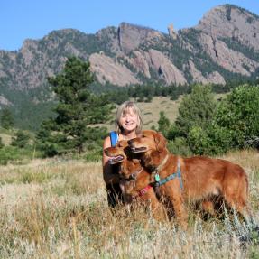 Woman and two dogs on open space